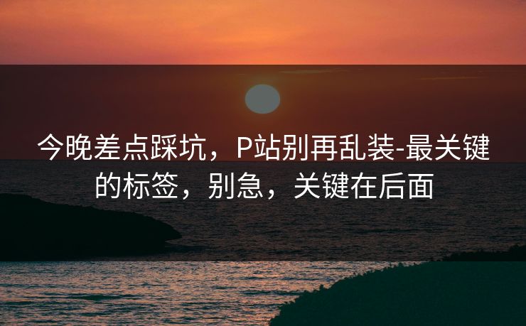 今晚差点踩坑，P站别再乱装-最关键的标签，别急，关键在后面