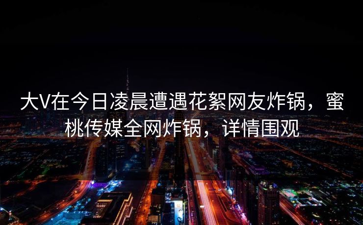 大V在今日凌晨遭遇花絮网友炸锅，蜜桃传媒全网炸锅，详情围观