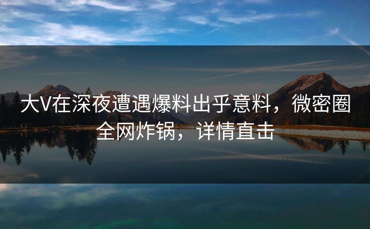 大V在深夜遭遇爆料出乎意料,微密圈全网炸锅,详情直击